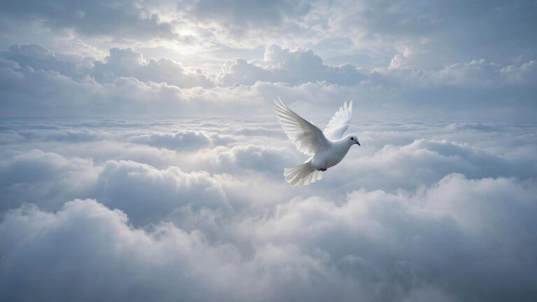 What Does White Mean in a Dream: Spiritual Meaning and Symbolism